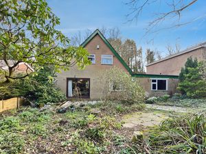 Rear Garden- click for photo gallery